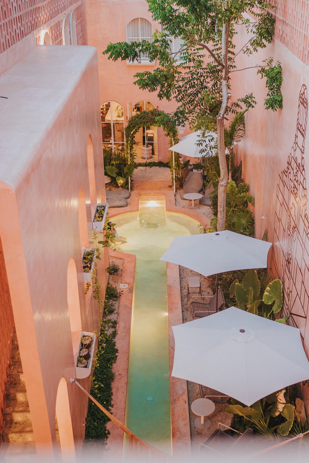la nouvelle oasis design qui fait parler d’elle - ICONE Magazine